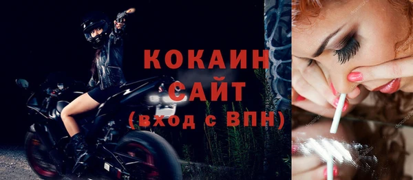 гидра Вяземский