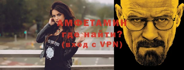 гидра Вяземский
