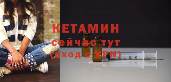 гидра Вяземский