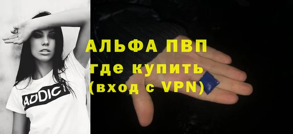 гидра Вяземский
