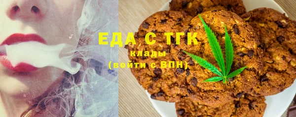 гидра Вяземский