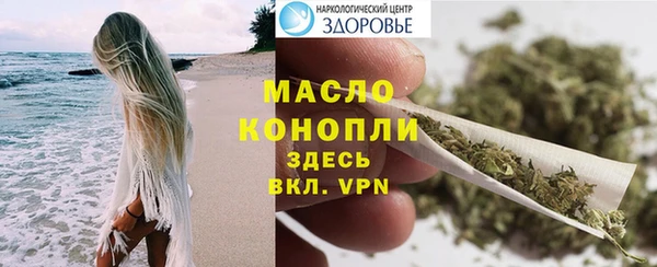 гидра Вяземский